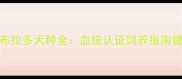俄罗斯血统拉布拉多犬种全血统认证饲养指南健康养护全攻略