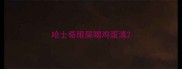 哈士奇眼屎喝鸡蛋清