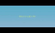 博美犬什么配小狗