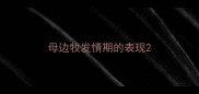 母边牧发情期的表现