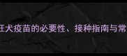 猫必打狂犬疫苗的必要性接种指南与常见误区全