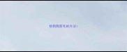 给狗狗剪毛的方法