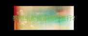 狗驱虫和疫苗同时进行