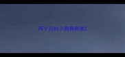 两个月的小狗黄鼻涕