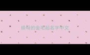 给母的金毛起名字中文