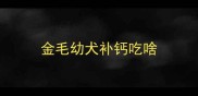 金毛幼犬补钙吃啥