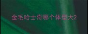 金毛哈士奇哪个体型大
