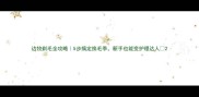 边牧剃毛全攻略5步搞定换毛季新手也能变护理达人