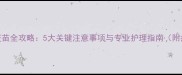 狗狗接种狂犬疫苗全攻略5大关键注意事项与专业护理指南附疫苗选择对比