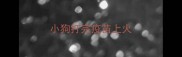 小狗打完疫苗上火