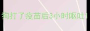 狗打了疫苗后3小时呕吐