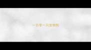 一百零一只宠物狗