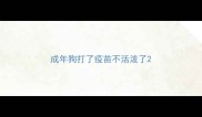 成年狗打了疫苗不活泼了