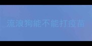 流浪狗能不能打疫苗