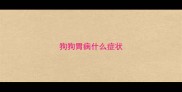 狗狗胃病什么症状