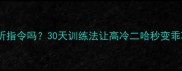 哈士奇能听指令吗30天训练法让高冷二哈秒变乖巧小棉袄