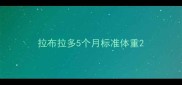 拉布拉多5个月标准体重