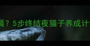 猫咪一直叫到凌晨5步终结夜猫子养成计划养猫人必看