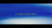 出去遛狗小狗多久喝水