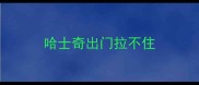哈士奇出门拉不住