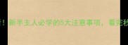 带小狗出门必看新手主人必学的5大注意事项看完秒变带娃高手
