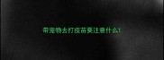 带宠物去打疫苗要注意什么