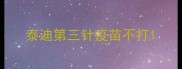 泰迪第三针疫苗不打