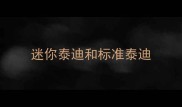 迷你泰迪和标准泰迪
