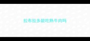 拉布拉多能吃熟牛肉吗