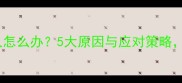 猫咪排斥女主人怎么办5大原因与应对策略女主人必看