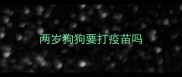 两岁狗狗要打疫苗吗