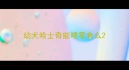 幼犬哈士奇能喂零食么
