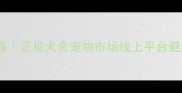 盐城哈士奇购买全攻略正规犬舍宠物市场线上平台避坑指南附真实推荐