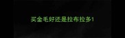 买金毛好还是拉布拉多