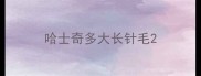 哈士奇多大长针毛
