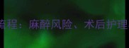 猫咪绝育手术全流程麻醉风险术后护理与科学喂养指南