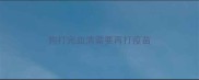 狗打完血清需要再打疫苗