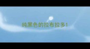 纯黑色的拉布拉多