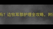 边牧耳朵上的毛能剃吗边牧耳部护理全攻略附剃毛教程与注意事项