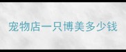 宠物店一只博美多少钱