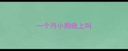一个月小狗晚上叫