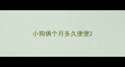 小狗俩个月多久便便
