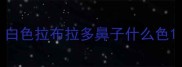 白色拉布拉多鼻子什么色