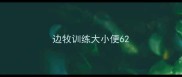 边牧训练大小便6