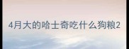 4月大的哈士奇吃什么狗粮