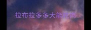 拉布拉多多大能吃肉