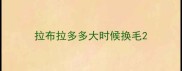 拉布拉多多大时候换毛