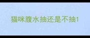 猫咪腹水抽还是不抽