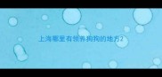 上海哪里有领养狗狗的地方