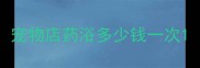 宠物店药浴多少钱一次